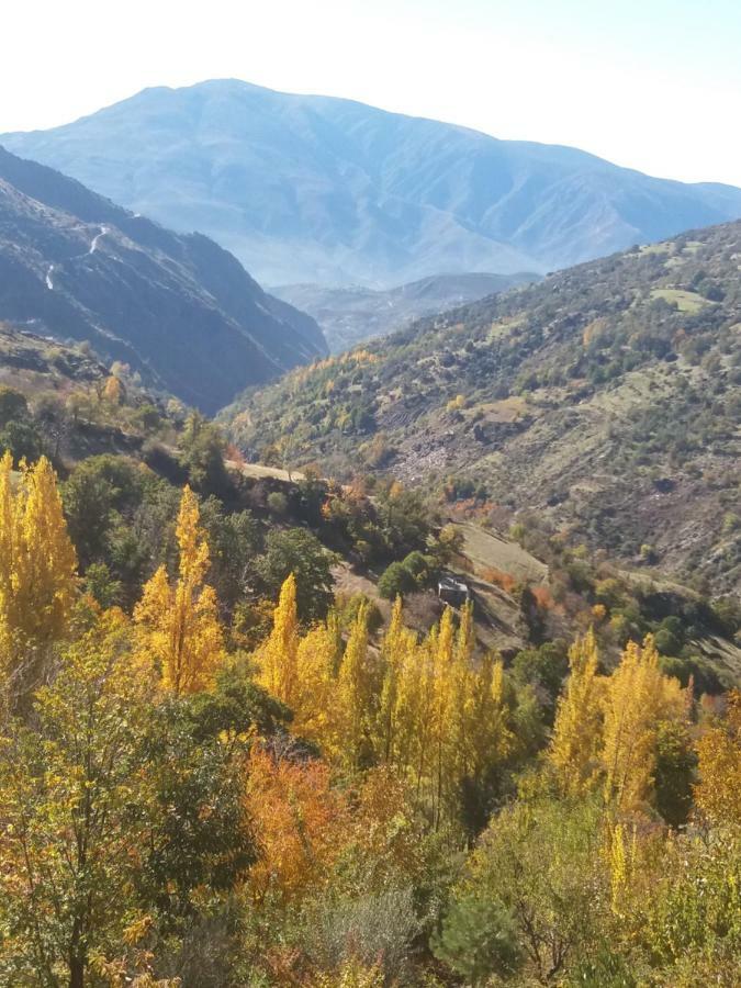 Casa Mirador De Maria Διαμέρισμα Capileira Εξωτερικό φωτογραφία